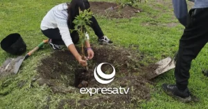 REFORESTACIÓN