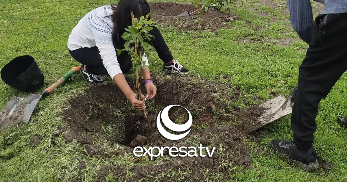 REFORESTACIÓN