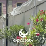 TIANGUIS