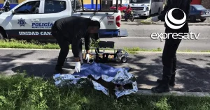 PERRITOS
