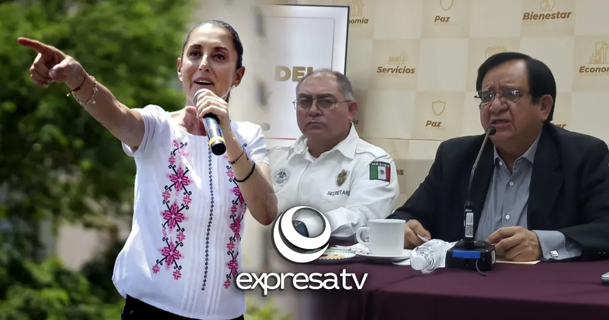 SEGURIDAD SHEINBAUM